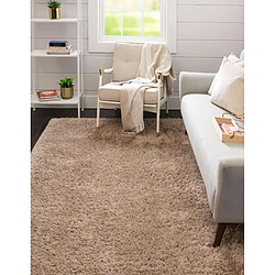 Hadorn Tapis 183x122 brun Infinity