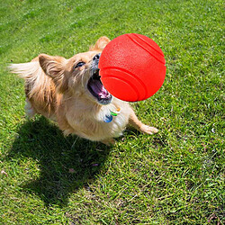 Avis Jouets pour Chiens Boules en Caoutchouc à Mâcher pour Chiens Premium Solid Balls Balle Résistante aux Morsures