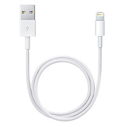 Apple Chargeur secteur A1400 + Câble Compatible iPod iPad Iphone MD818 original Blanc pas cher