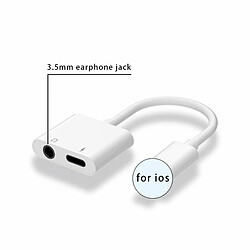 2 En 1 Otg Usb Pour Iphone Xs Max Xr X 7 8 Plus Adaptateur Port De Charge Vers Séparateur De Câble 3.5Mm Trou Rond Type Plat Unique