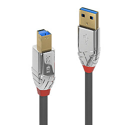 Lindy 36660 câble USB 0,5 m USB 3.2 Gen 1 (3.1 Gen 1) USB A USB B Chrome, Gris