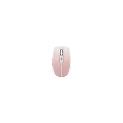 Souris Tnb GRADIENT Souris sans fil rechargeable DUAL CONNECT rose