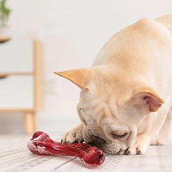 Acheter Jouets de nettoyage des dents pour chien Jouet interactif résistant à l'usure Jouet de soins dentaires pour chien