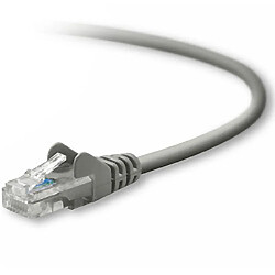 Câble RJ45 Belkin