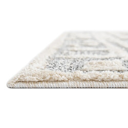 Hadorn Tapis 220x160 gris clair Vevey