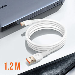 LinQ Câble USB vers USB C Fast Charge 5A Synchronisation Longueur 1.2m Blanc pas cher