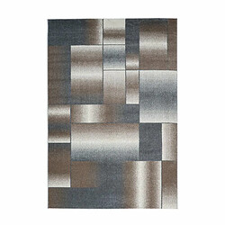 Paris Prix Tapis Tissé à Poils Courts Broadway III Marron & Gris 120 x 170 cm