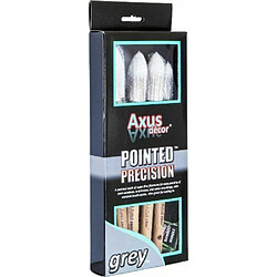 Axus Décor Lot de 4 pinceaux pointus de précision Gris