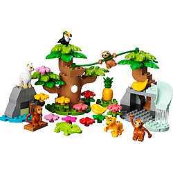 LEGO Duplo Animaux sauvages d'Amérique du Sud