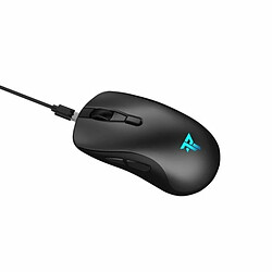 Acheter Souris sans-fil Tempest MS100 Paladin