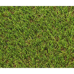 Gazon - EXELGREEN - 124414 - Natura 2D - 38mm / 1 x 5 m