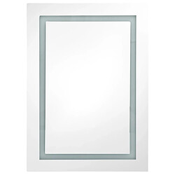 Acheter vidaXL Armoire de salle de bain à miroir LED 50x13x70 cm