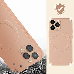 Acheter Avizar Coque Magsafe iPhone 13 Pro Silicone Intérieur Soft-touch Mag Cover rose gold