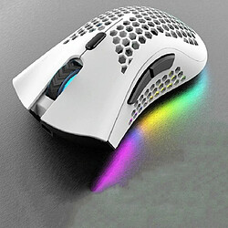 Avis Yonis Souris Gaming RGB Sans Fil Ultra Légère