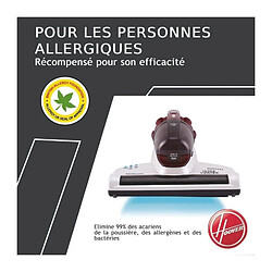 Avis HOOVER MBC500 Aspirateur a main a UV spécial matelas – anti-allergene - 300 ml – Blanc bordeaux