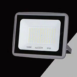 Tradex LED 100W 9000 LM IP65 GREY WARM COLD LIGHT NATURAL EK02-100W-G