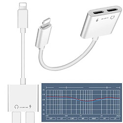 Tech Discount Adaptateur Lightning TD® 2-en-1 Lightning vers 3,5 mm, charge et écoute, adaptateur pour casque d'écoute