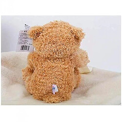 Avis Universal Un ours en peluche qui peut parler dans un cadeau d'anniversaire stupide