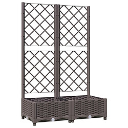 vidaXL Jardinière avec treillis Marron 80x40x121,5 cm PP