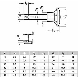 Avis Ganter la norme léments Boulon connecteur avec sécurité Axial CliquetBoulonsAcierAcier galvanisé diamètre: 6mm bleu passivé, 1pièce, noir, GN 114.2-6-40