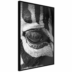 Paris Prix Affiche Murale Encadrée Zebra Is Watching You 20 x 30 cm Noir