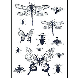 Graines Creatives Transfert thermocollant noir & blanc - Insectes