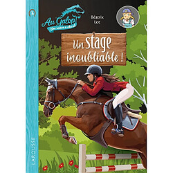 Au galop ! Une saison à cheval. Vol. 3. Un stage inoubliable ! - Occasion