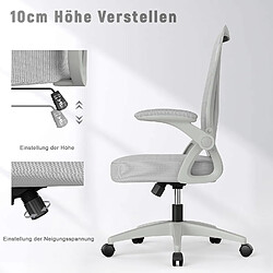 Acheter Chaises de bureau pour le bureau à domicile - avec accoudoirs rabattables à 90 ° et support lombaire - Chaises de bureau ergonomiques Rattantree pour la maison - Réglable en hauteur - Mobilier de bureau à domicile GRIS