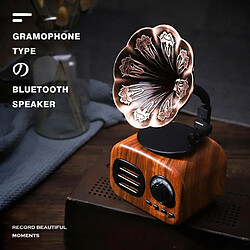 Universal Vintage Radio Bluetooth Sound Amplifier Portable Mini Wireless Gramophone Music Subwoofer Support TF Card Play | Acajou