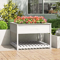 vidaXL Jardinière et étagère Blanc 111,5x111,5x81cm Bois massif de pin