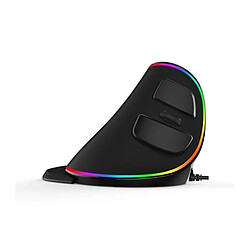 Dellorto DELUX Souris Verticale Ergo Noire - Sans fil - RGB