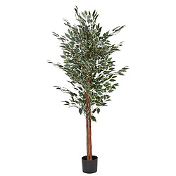 Beliani Plante artificielle FICUS 167 cm