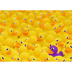 Avis RAVENSBURGER PUZZLE 1000 pièces-Canards (Challenge Puzzle) Adulte, 4005556170975