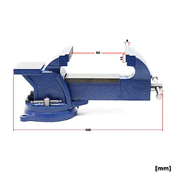 Helloshop26 Étau heavy duty mâchoire de serrage 125 mm 360 degrés avec enclume 127 mm atelier 16_0000322