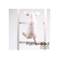 Avis Farmwood Animals Cochon sur bord en résine 49.5 x 21 x 25 cm.