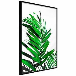 Paris Prix Affiche Murale Encadrée Emerald Palm 20 x 30 cm Noir