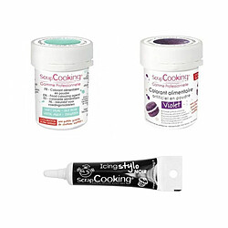 Scrapcooking 2 colorants alimentaires violet-vert d'eau + Stylo glaçage noir