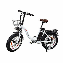 Vélo Électrique DrveTion CT20 - 20*4.0 Pouces Moteur 750W Batterie 48V20Ah Autonomie 60-90KM - Blanc Perle