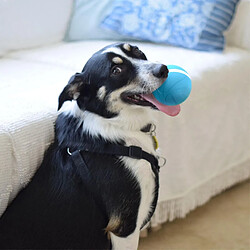 Wicked Ball Balle interactive automatique pour tenir compagnie à vos chiens / chats toute la journée, la joie de votre animal de compagnie