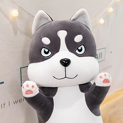 Universal 1 x 70 cm Kawaii long coussin Husky peluche mignon peluche animal doux chien coussin enfant bébé fille cadeau | Peluche animal en peluche