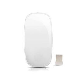 Universal Souris sans fil 2.4g Bluetooth pour Mac Book Air pour Mac Pro Ergononic Design Multi Touch Rechargeable