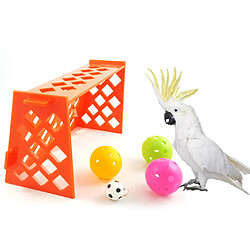 Jouet de football perroquet oiseau balle oiseau