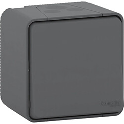 Schneider Electric Bouton poussoir anthracite