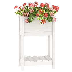 Acheter Maison Chic Jardinière,Bac à fleurs - pot de fleur avec étagère Blanc 54x34,5x81 cm Bois massif de pin -GKD93186