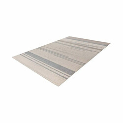 Paris Prix Tapis Tissé Déco Scandinave Gène Beige & Bleu 160 x 230 cm