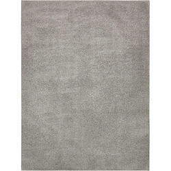 Hadorn Tapis shaggy 274x183 gris argenté Luzern 