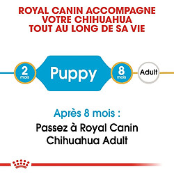 Acheter Royal Canin Race Chihuahua Junior