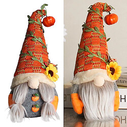 Acheter Universal Citrouille elfe nain nain peluche poupée déco fête halloween maison déco