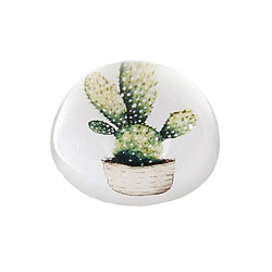 L'Héritier Du Temps Presse Papier Boule de Sulfure Motif Imprimé Cactus Décoration Ronde de Bureau en Verre 4x8x8cm