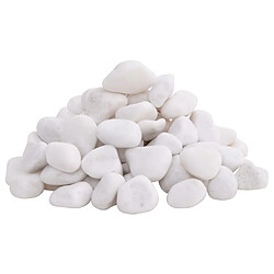 vidaXL Galets polis 25 kg blanc 2-5 cm